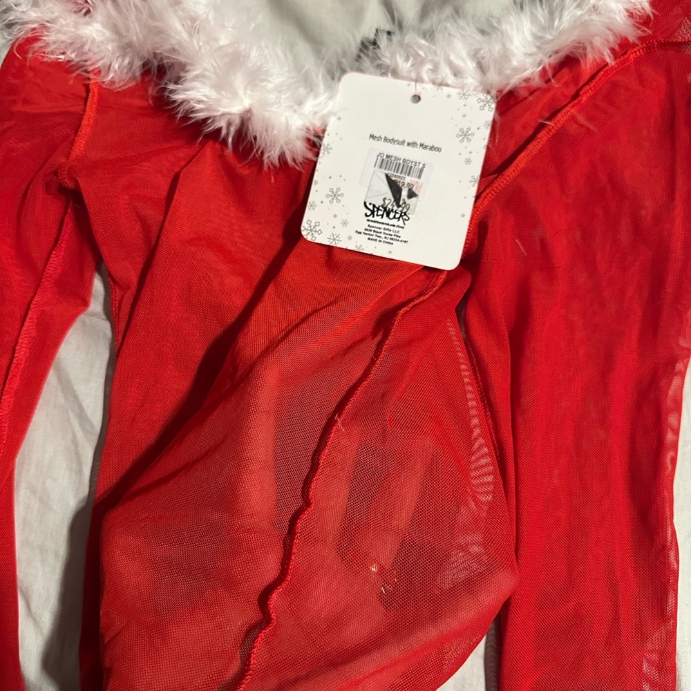 Red Sheer Santa Costume with White Fur Trim